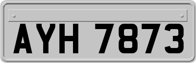 AYH7873