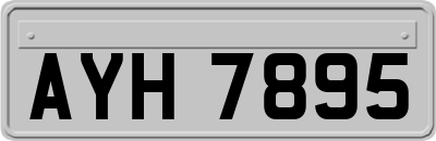 AYH7895