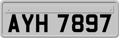 AYH7897