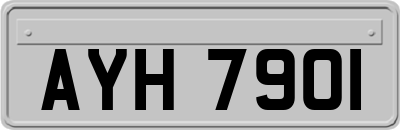 AYH7901