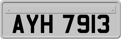 AYH7913