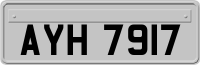 AYH7917