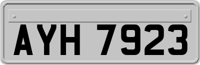AYH7923