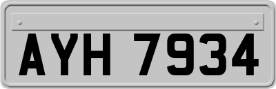 AYH7934