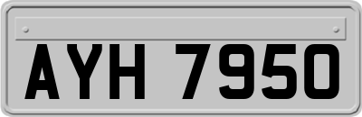 AYH7950