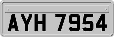 AYH7954