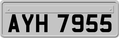 AYH7955