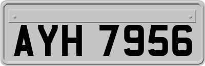 AYH7956