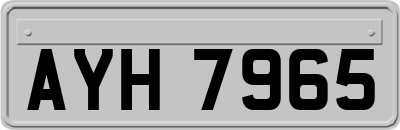 AYH7965