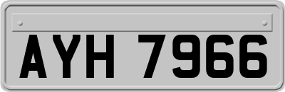 AYH7966