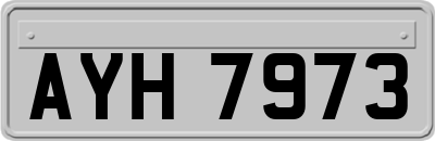AYH7973