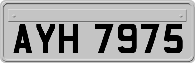 AYH7975