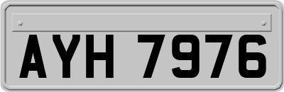 AYH7976