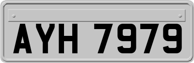 AYH7979