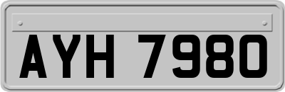 AYH7980