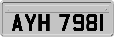 AYH7981