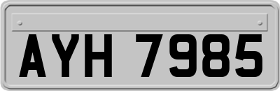 AYH7985