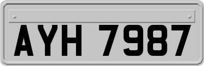 AYH7987