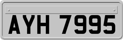 AYH7995