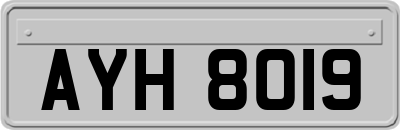 AYH8019