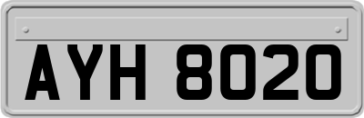 AYH8020