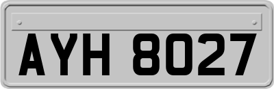 AYH8027