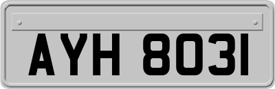 AYH8031