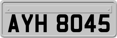 AYH8045