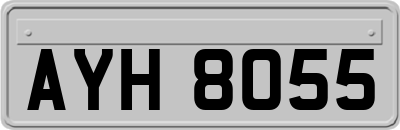 AYH8055