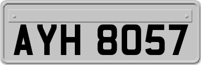 AYH8057