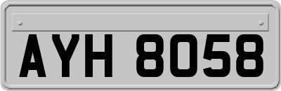 AYH8058