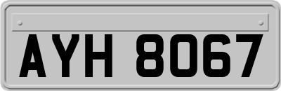 AYH8067