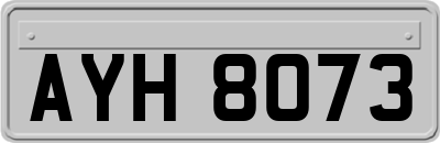AYH8073