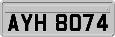 AYH8074