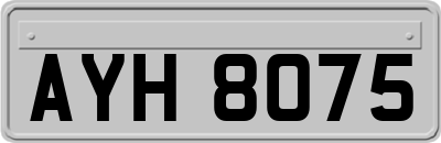 AYH8075