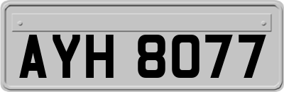 AYH8077