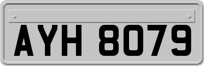 AYH8079