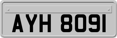 AYH8091