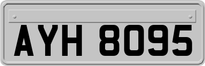 AYH8095