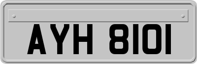 AYH8101