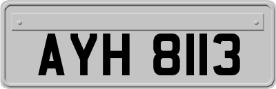 AYH8113