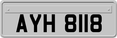 AYH8118