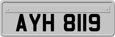 AYH8119