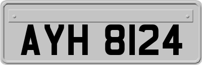 AYH8124