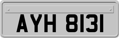 AYH8131