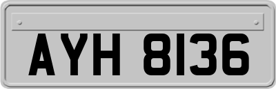 AYH8136