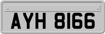 AYH8166