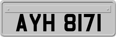 AYH8171
