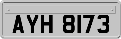 AYH8173