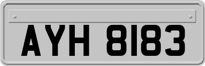 AYH8183